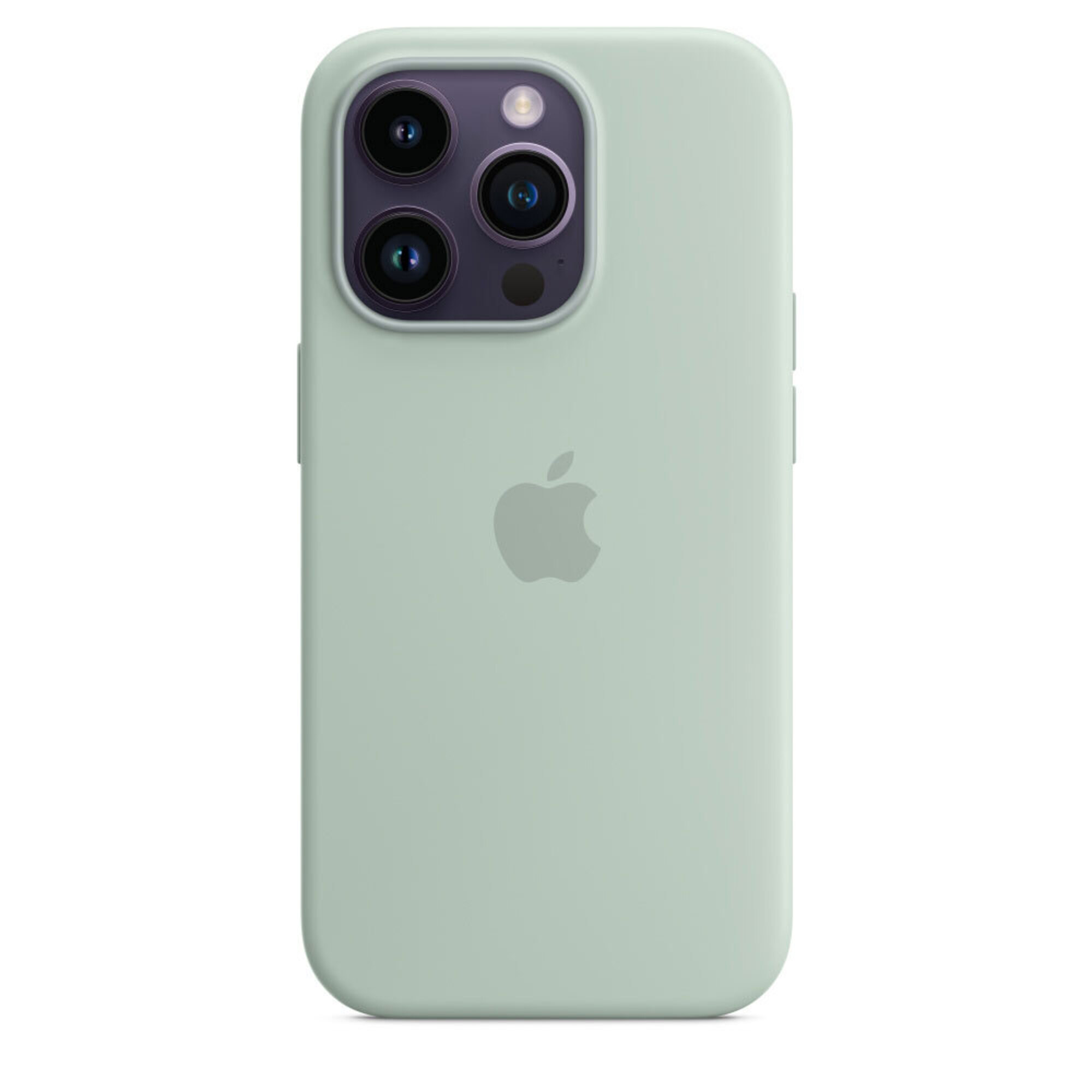 Iphone 14 pro max si Case Succulent-zml
