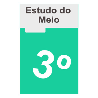 TEXTO EDITORES Caderno A Grande Aventura (Estudo do Meio; 3º Ano)