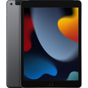 APPLE iPad 2021 Wi-Fi, 10,2”, A13 Bionic, 256 GB ROM, Cinzento